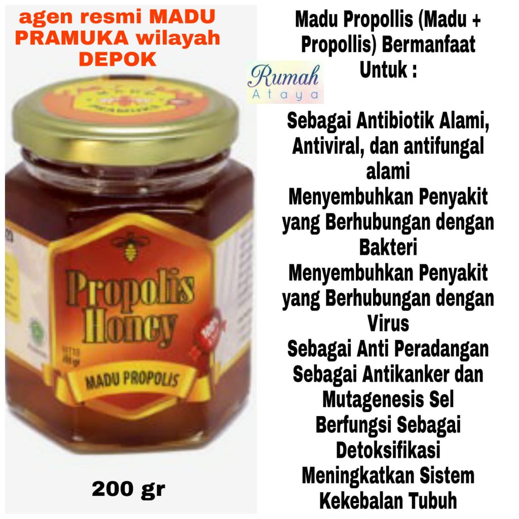 

Madu Pramuka MADU PROPOLIS 200 GR