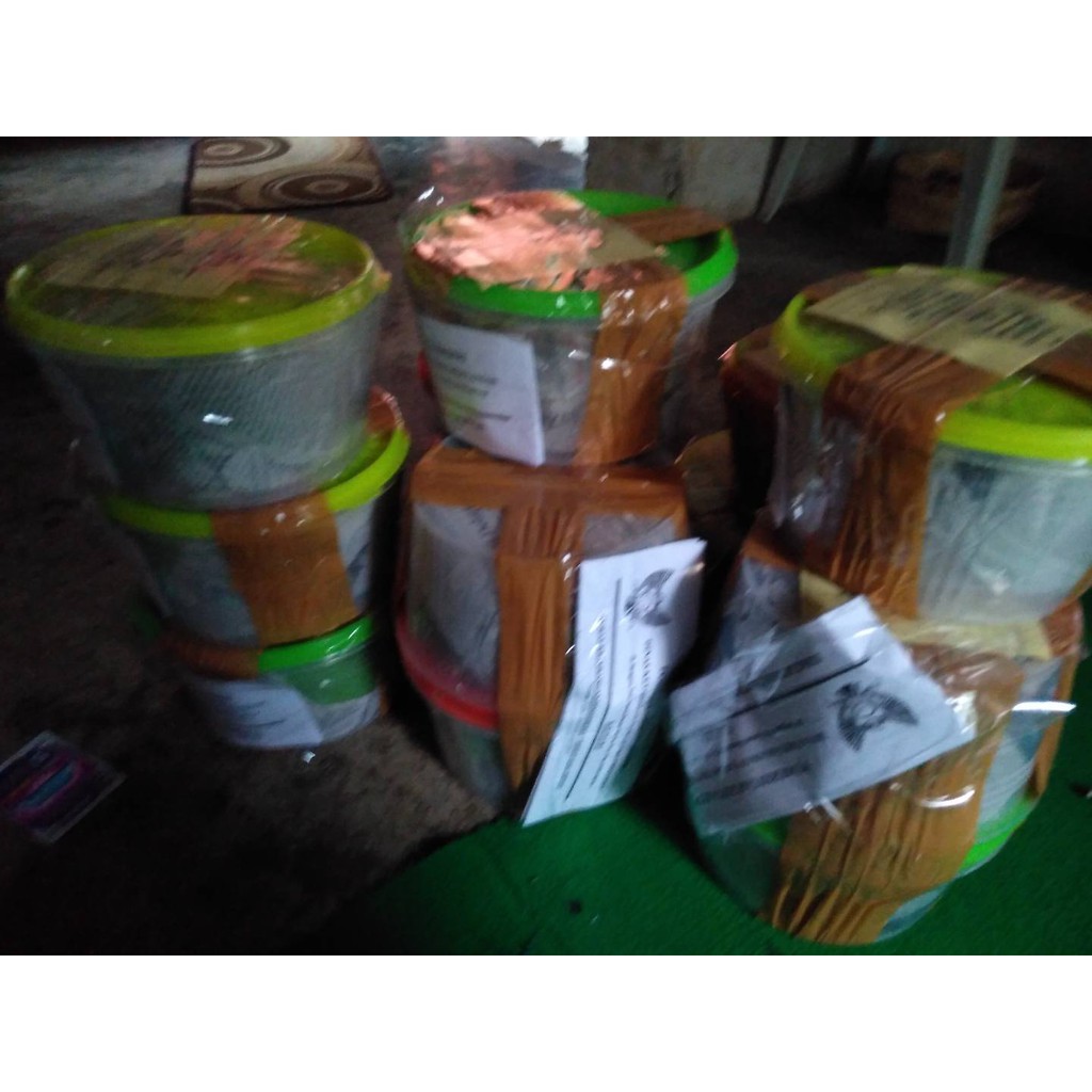 Telur Jangkrik Kalung Untuk Ternak Jangkrik 1kg