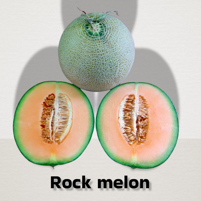

melon oren / rock melon
