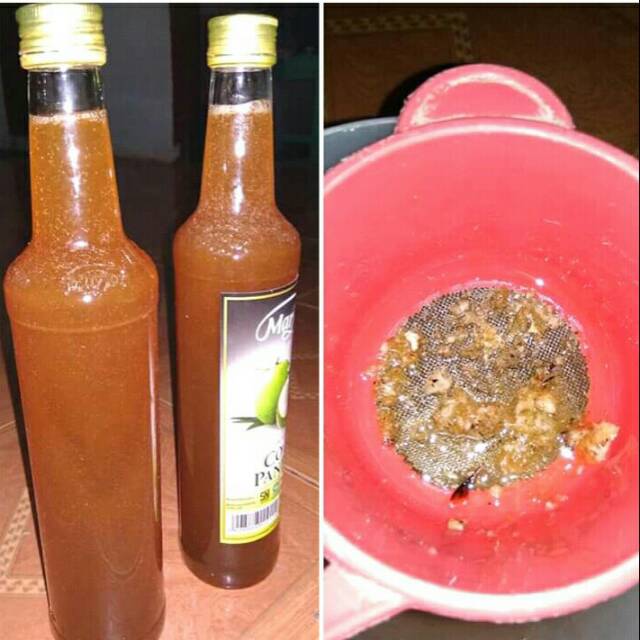 

Madu Hutan Asli