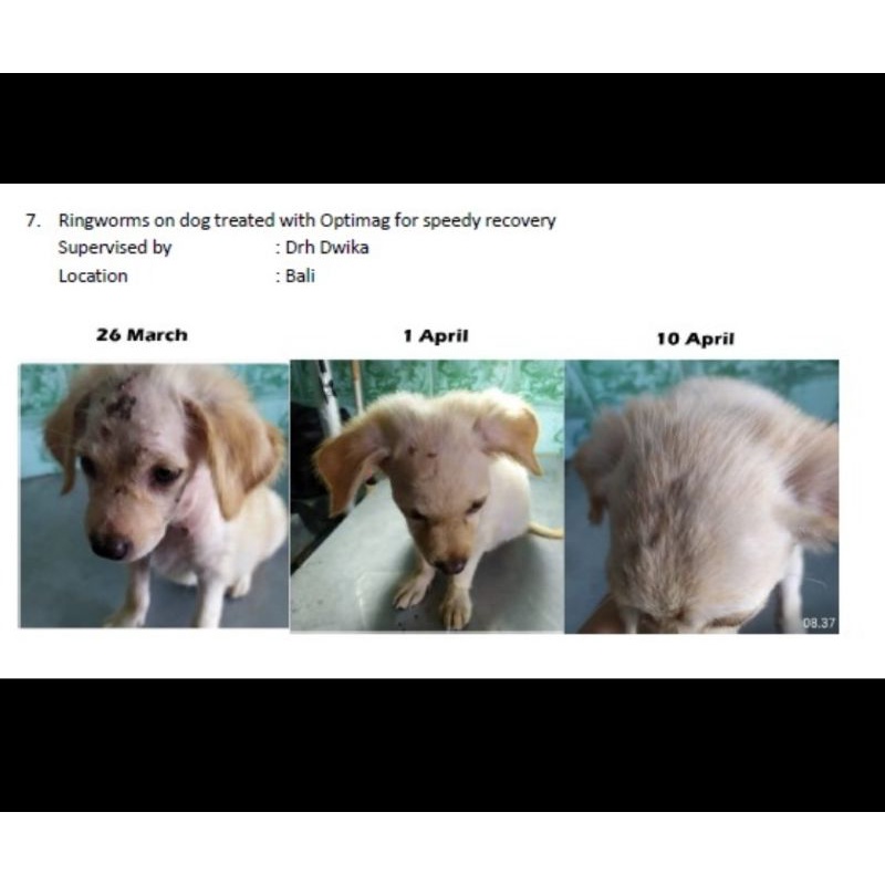 Opti Mag 500Gram Daily Dog Supplement Anjing Mixing