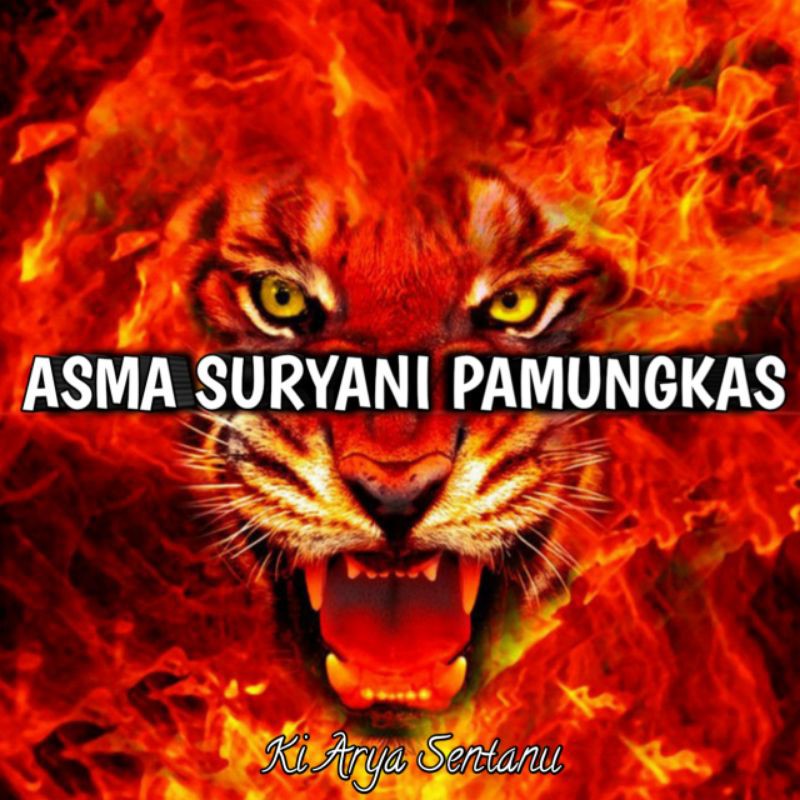 ILMU SURYANI PAMUNGKAS