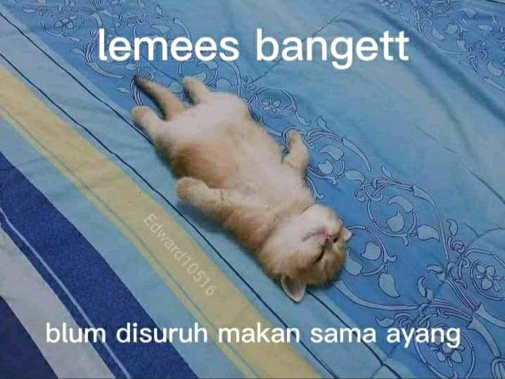 【terima Grosir】shukoo  Alat Masak  Set Peralatan Dapur Spatula Stainless Steel