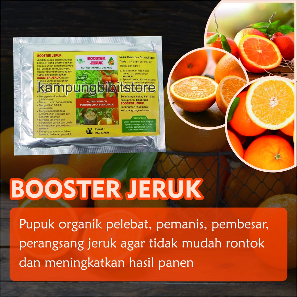 Pupuk Booster Pohon Jeruk, Booster Jeruk Agar Berbuah Lebat