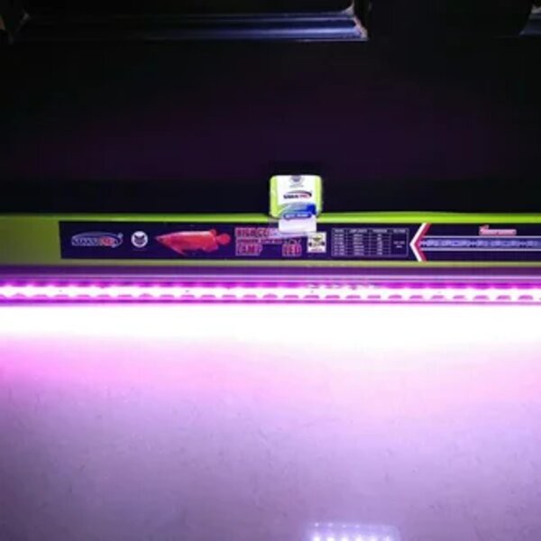 LED SR8000 Lampu Tanning 80cm 80 cm Arwana Louhan Taning Arowana Lohan