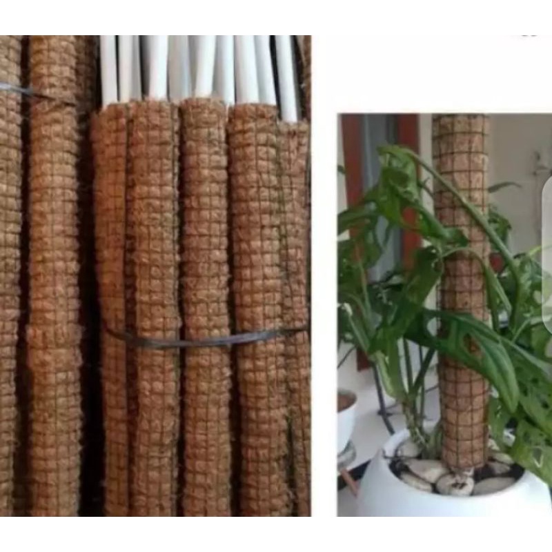 turus tanaman rambat - tiang penyangga tanaman rambat