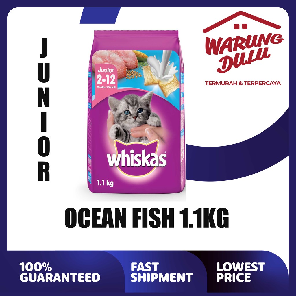 WHISKAS JUNIOR OCEAN FISH 1.1KG