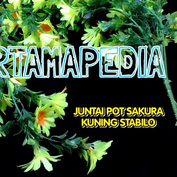 ℗ BUNGA MERAMBAT JUNTAI POT SAKURA/ Bunga Plastik/ Daun Rambat Plastik/ Rumput Plastik/ Busa Bunga G