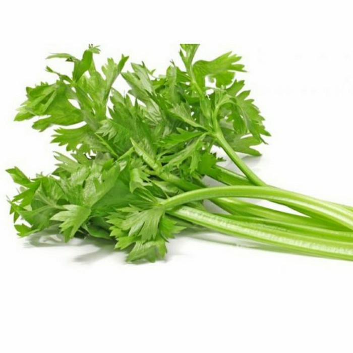 

Daun Seledri Segar - 1 ikat