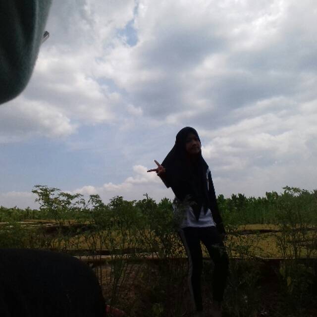1234wa_wa.