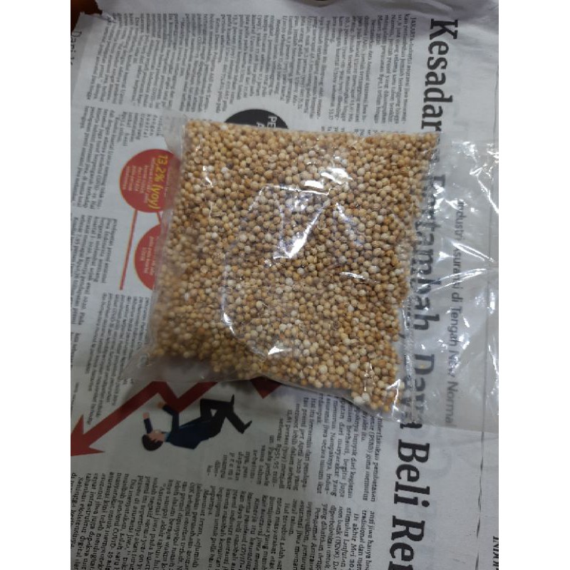 

ketumbar utuh 100 gram