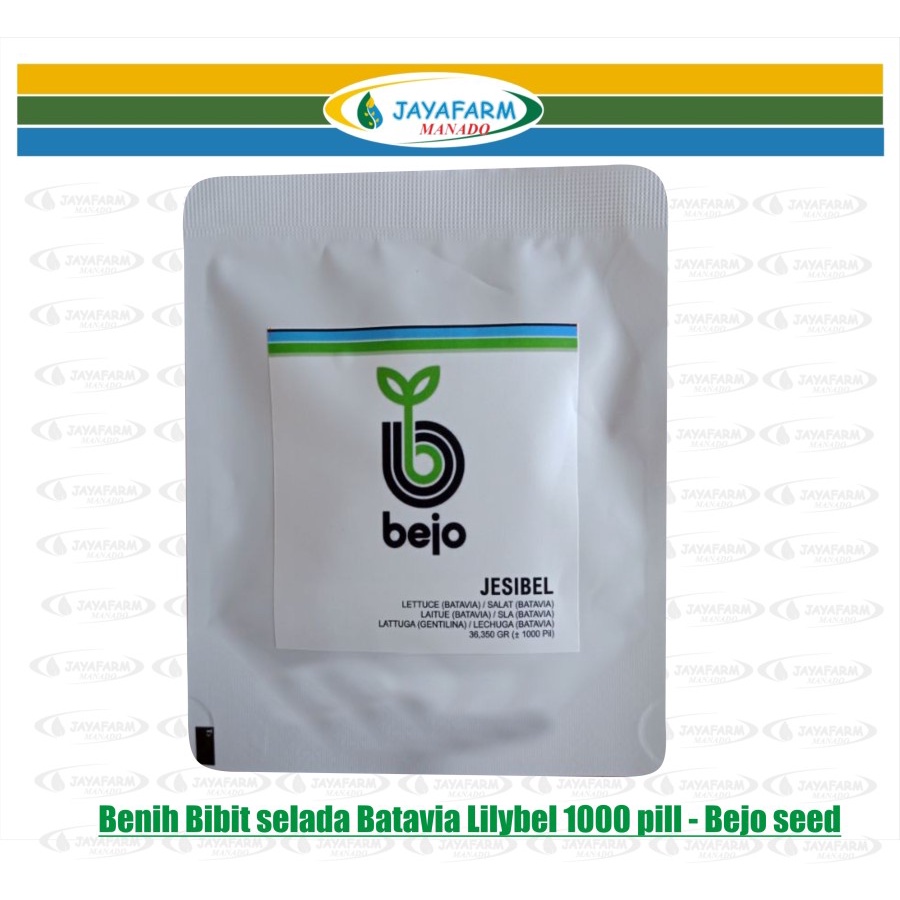 Benih Bibit Selada Batavia Lilybel 1000 pill - bejo seed