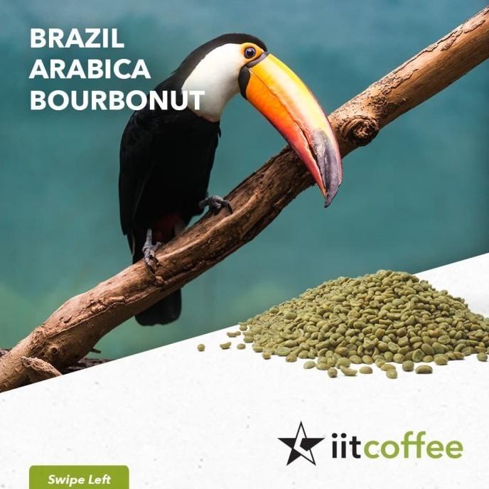 

Arabica Green Beans - Brazil Bourbonut Natural - 10Kg (Grosir)