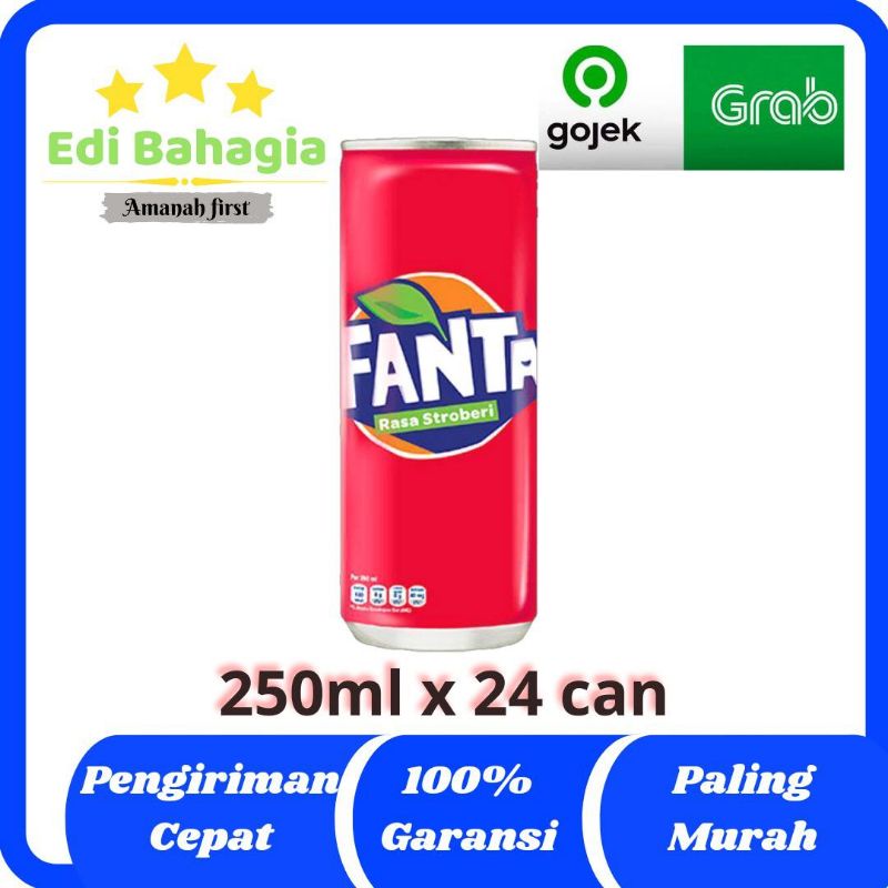 

FANTA STOBERI KALENG 250 ML 1 KARTON
