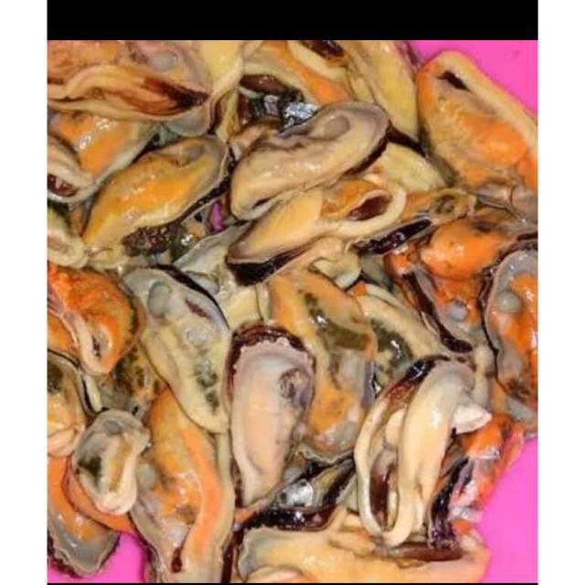 

Daging kerang hijau dan kerang dara 500gram