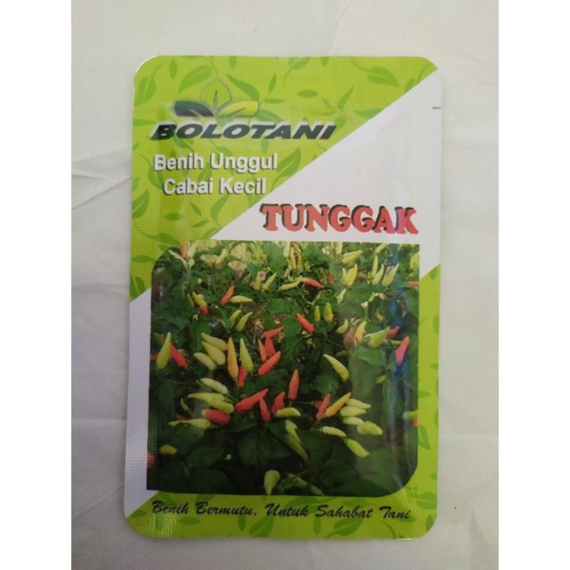 Benih cabai kecil TUNGGAK (10gr)
