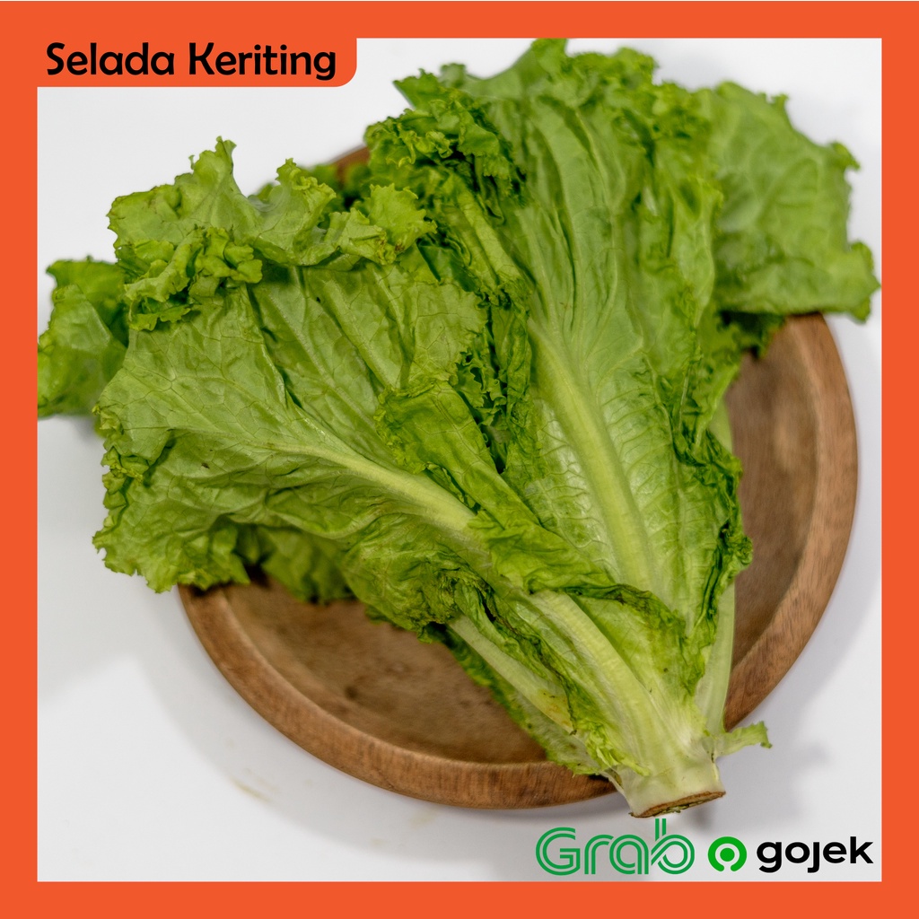 

Selada Keriting 500 gram