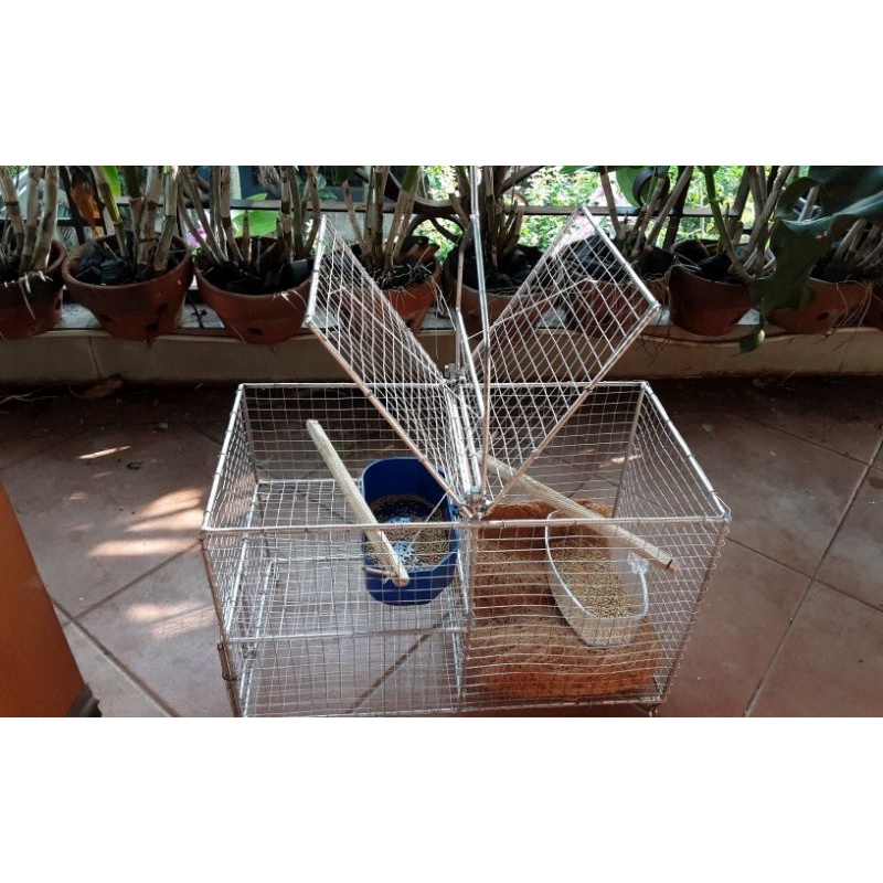 Sangkar Jebakan Burung_Perangkap Burung