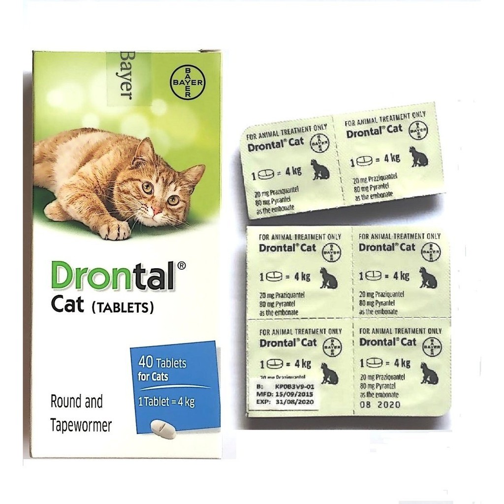 Obat Cacing Kucing Drontal Cat | Shopee Indonesia