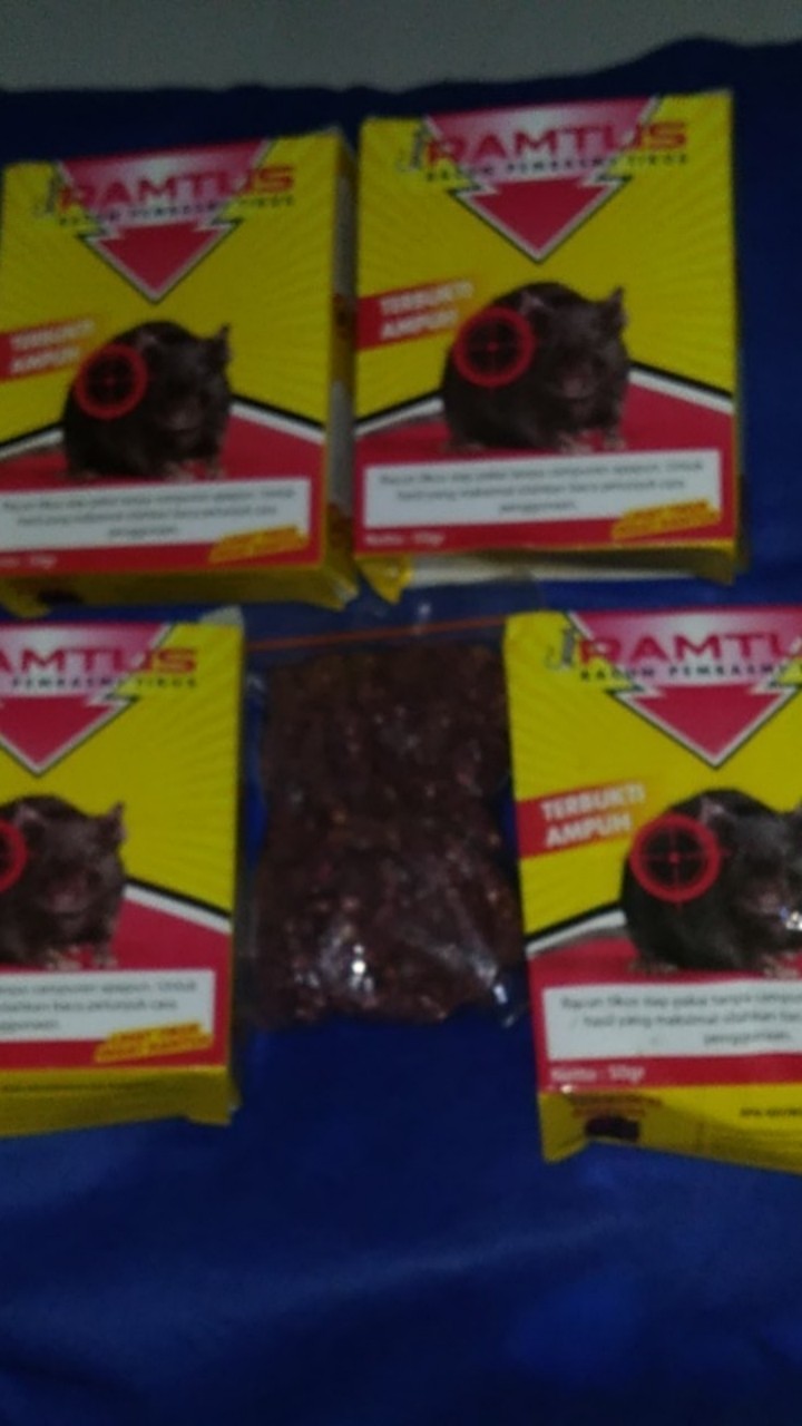 Ramtus Racun Tikus Ampuh Mati Kering Tidak Bau Pembasmi Curut Wirog Mencit Dirumah Di Mobil 4 Pack