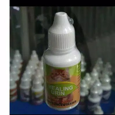 Healing Urin Anti Radang Kemih Kucing Sulit Buang Kecil