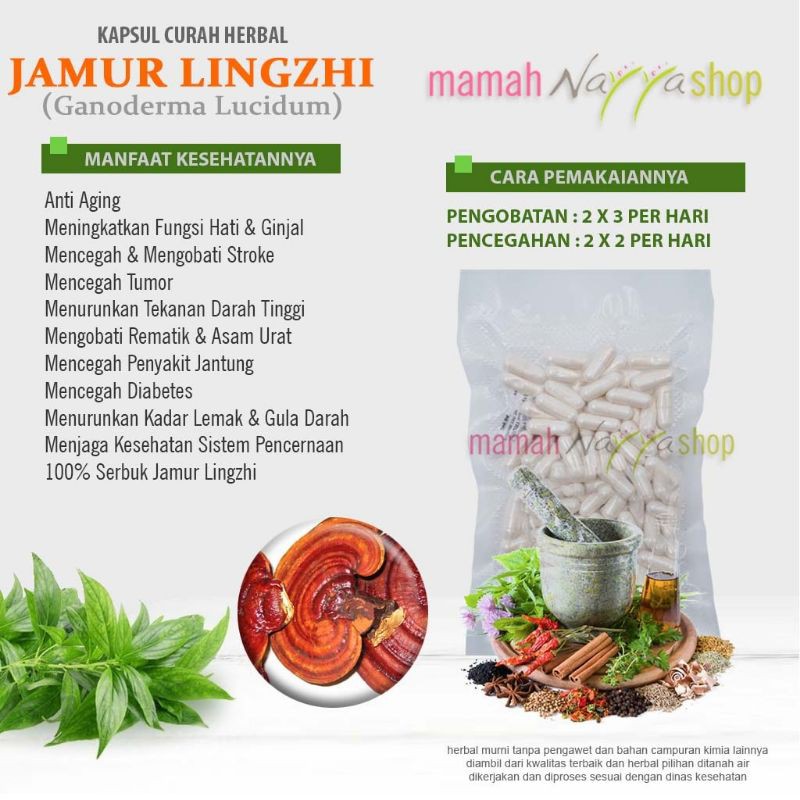 

JAMUR LINGZHI Kapsul Herbal Tumor Kanker stroke Anti Aging 100 kapsul