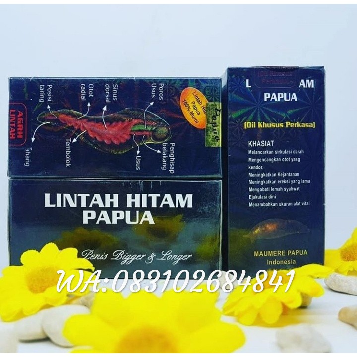 MINYAK OLES LINTAH HITAM PAPUA PENAMBAH UKURAN PRIA BESAR KUAT COBA KHASIATNYA