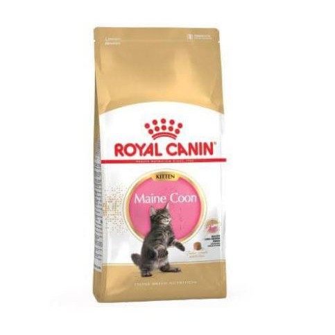 Royal Canin Kitten Mainecoon Maine Coon 400Gr/Makanan Anak Kucing Besar