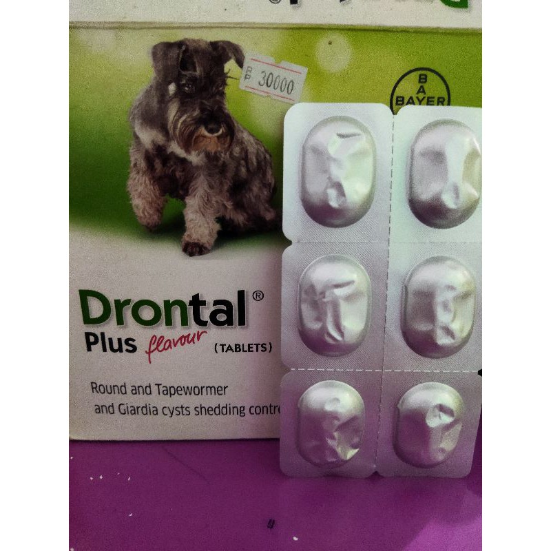 Obat cacing DRONTAL DOG | obat anjing