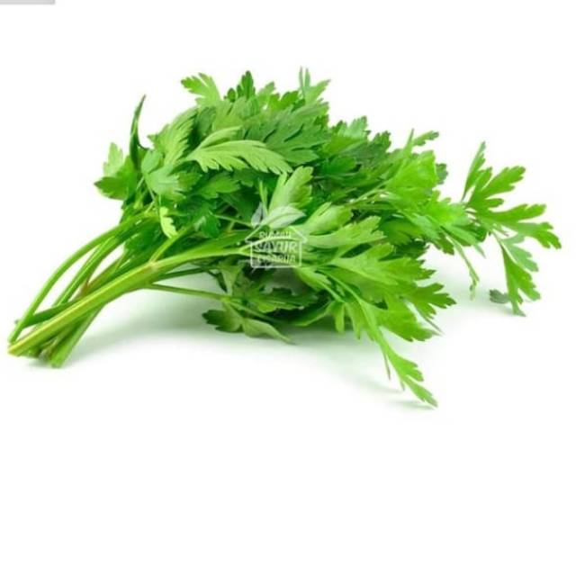 

Daun Seledri (250Gr)