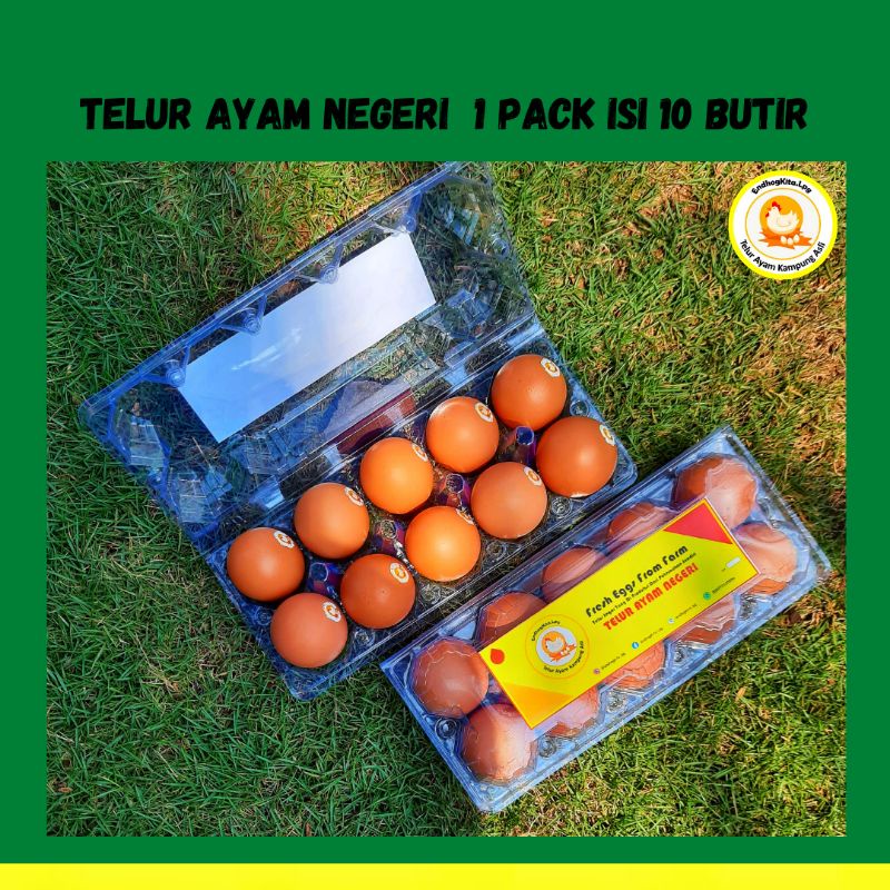 

Telur Ayam Negeri 10 pcs/butir