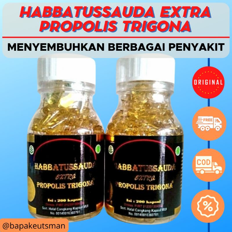 HABBATUSSAUDA EXTRA PROPOLIS PLUS ZAITUN [TRIGONA]