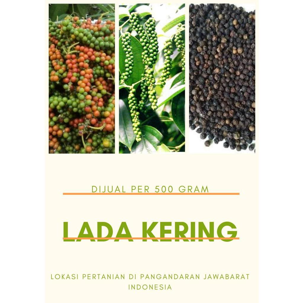 

Lada hitam super Kering Organik Lima Ons