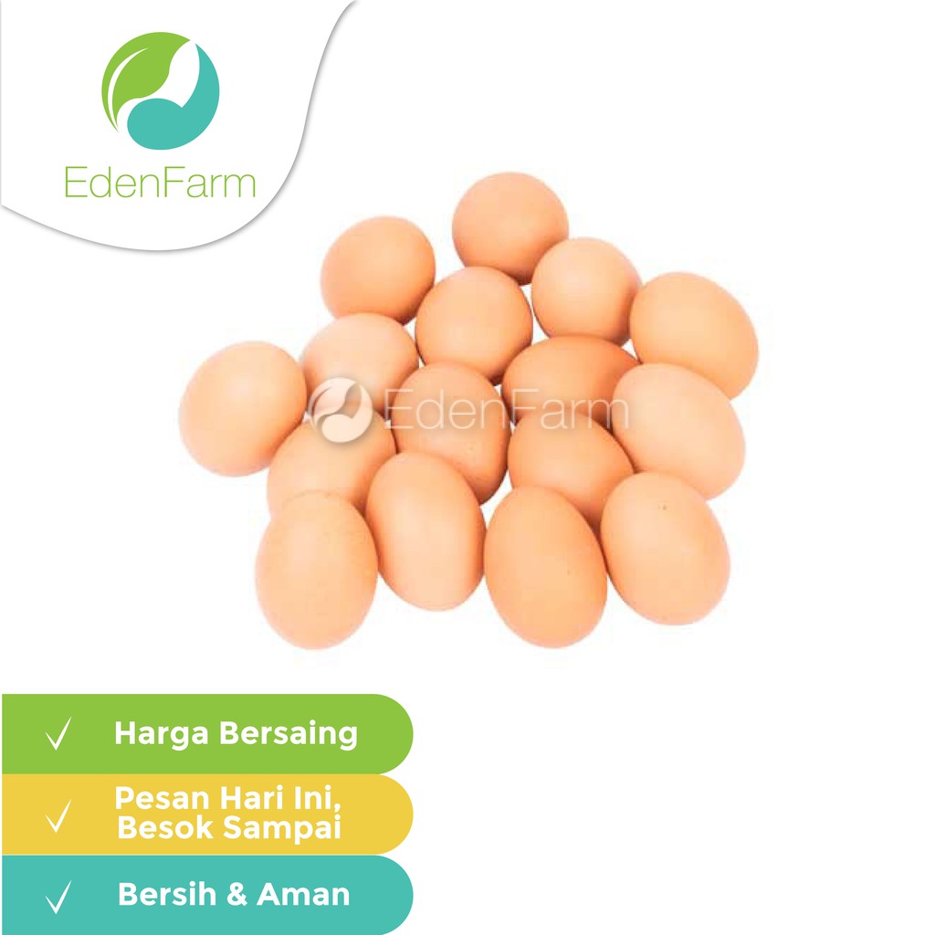 

Telur Ayam (15-18 pcs/kg) Eden Farm