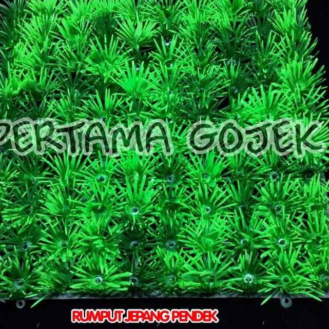 ← Rumput Plastik/Rumput Artificial/Rumput Dekorasi/Rumput Hiasan AQUARIA ☆