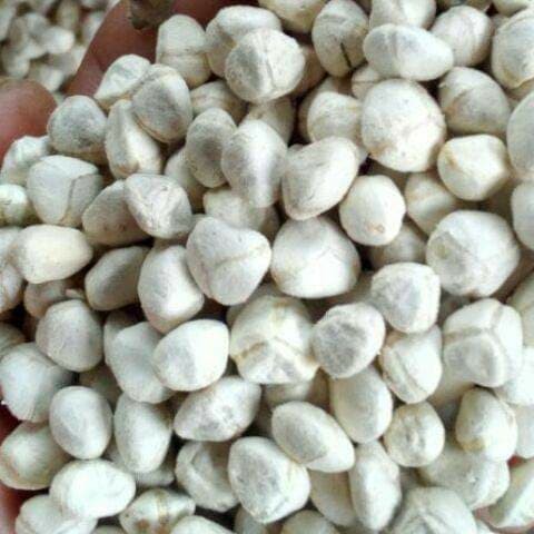 

Bubuk Biji kelor kupas 1kg Organik / Superfood / Foodgrade / Multivitamin