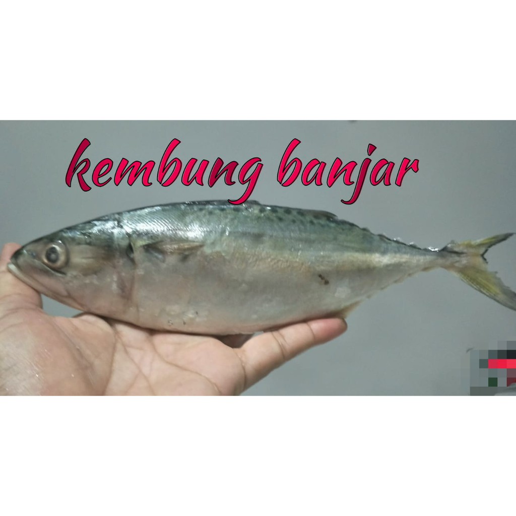 

Ikan Kembung Banjar Segar
