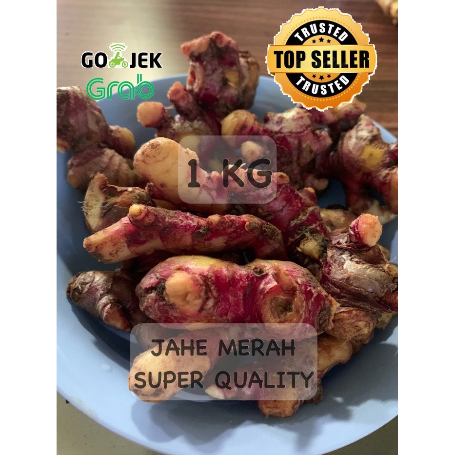 

JAHE MERAH FRESH ALAMI KUALITAS SUPER / RED GINGER 250 GRAM