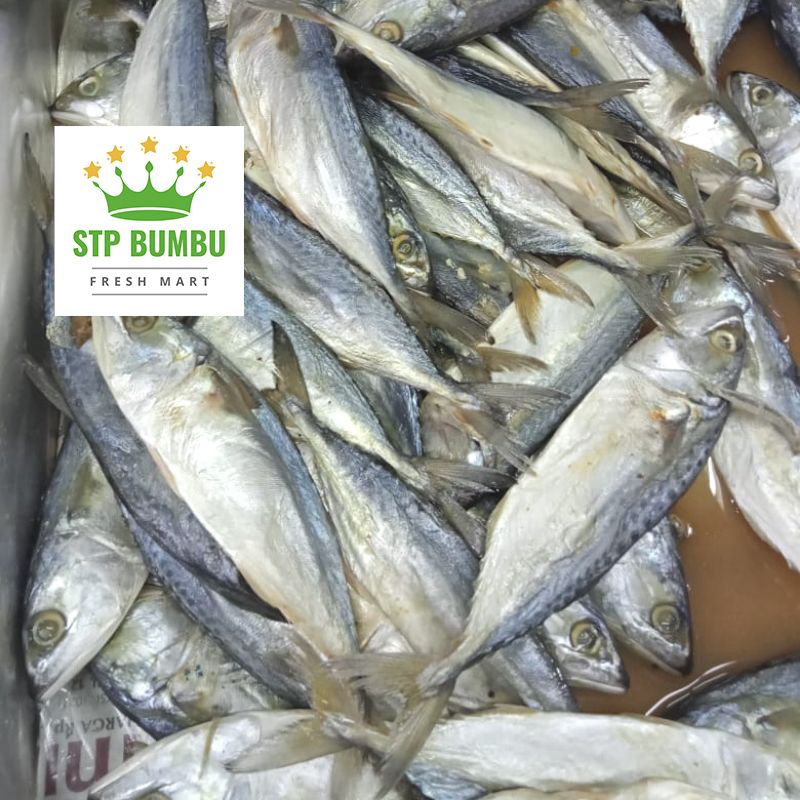 Ikan Asin Peda Putih 250 gram