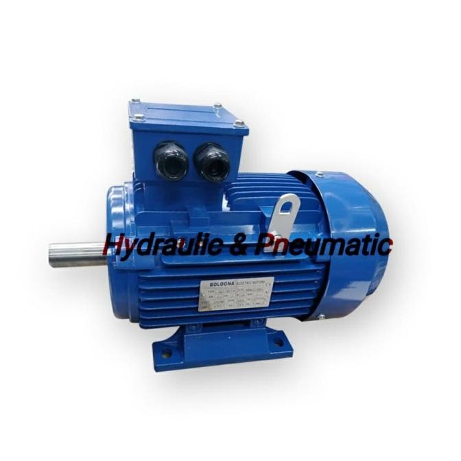 Motor Dinamo Electric 2Hp/1.5Kw Rpm 2850 2 Pole 3 Phase