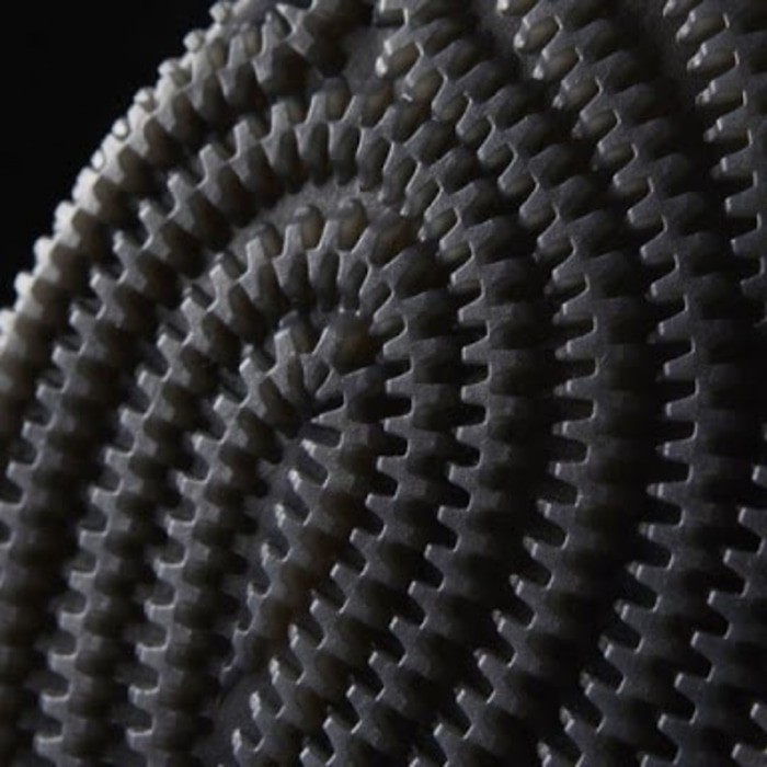 PROMO SEPATU BASKET  Sepatu Basket Casual ADIDAS D Rose 8 CQ0830 Termurah Original  DISKON