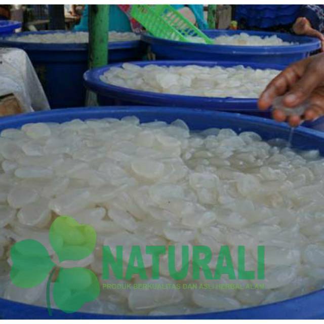 

Kolangkaling 500gram buah muda dan segar