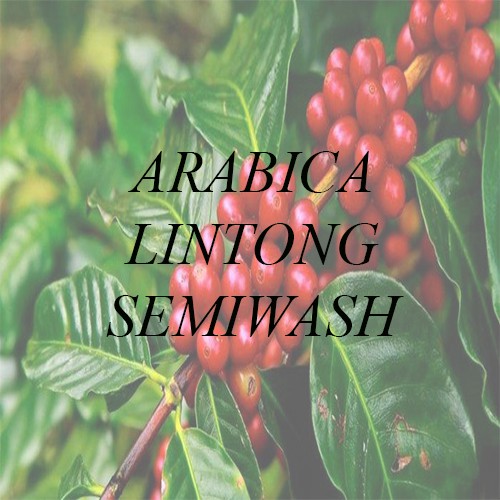 

[Green Bean] Arabika Lintong Semiwash