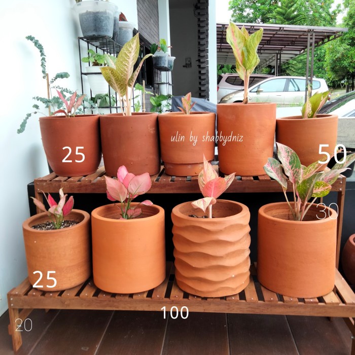 Rak Tanaman - Rak Tanaman Kayu Ulin Tangga 2 Tingkat