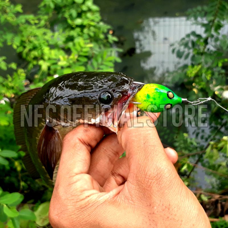 Soft frog Si Kepik 3cm / 4,5 gram rekomendasi untuk ultralight casting Umpan Gabus dan Toman