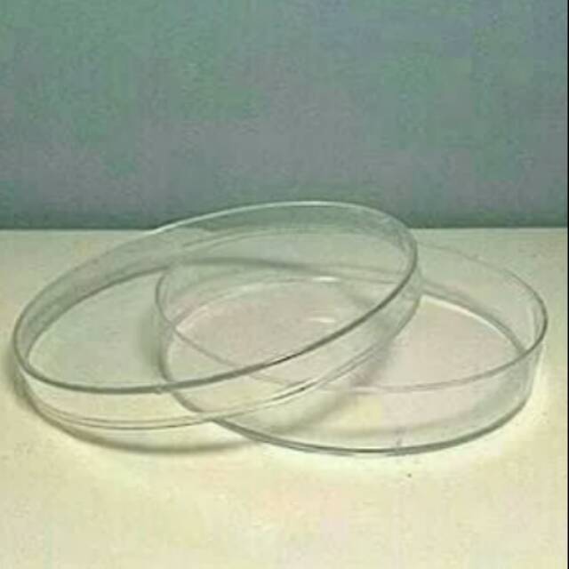 PETRI DISH-CAWAN PETRI dia.100ml