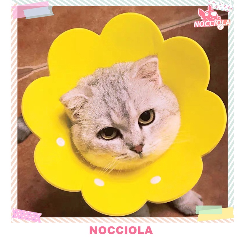 Collar Pelindung Leher Kucing Anjing | Elizabeth Collar Penutup Kepala Anti Gigit Jilat Obat | Pet Neck Cone Coron