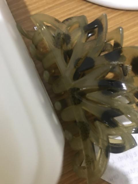 Serai Segar / Sereh Segar 200 G