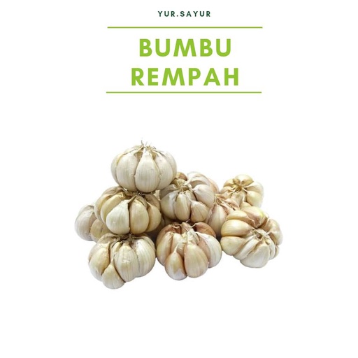 

BAWANG PUTIH 300G
