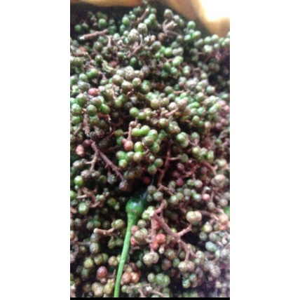 

ANDALIMAN SEGAR 1KG